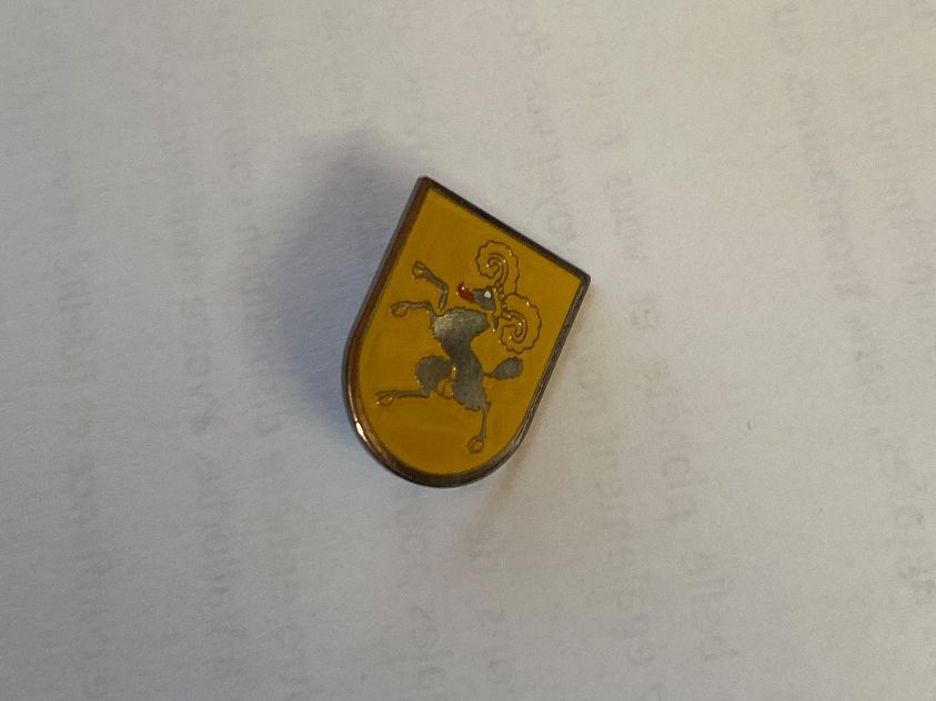 Plaketten & Abzeichen: Pin's . Schaffhausen – Neu (gemäss Beschreibung) aus Le Brassus von cinema13 1