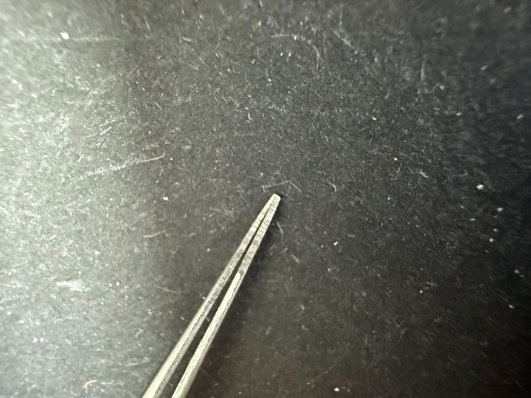 Tutti gli attrezzi: Präzissionspinzette, spitz, Edelstahl, 120 mm – Nuovo e nell'imballaggio originale da Lützelflüh-Goldb venduto da Elementis 6