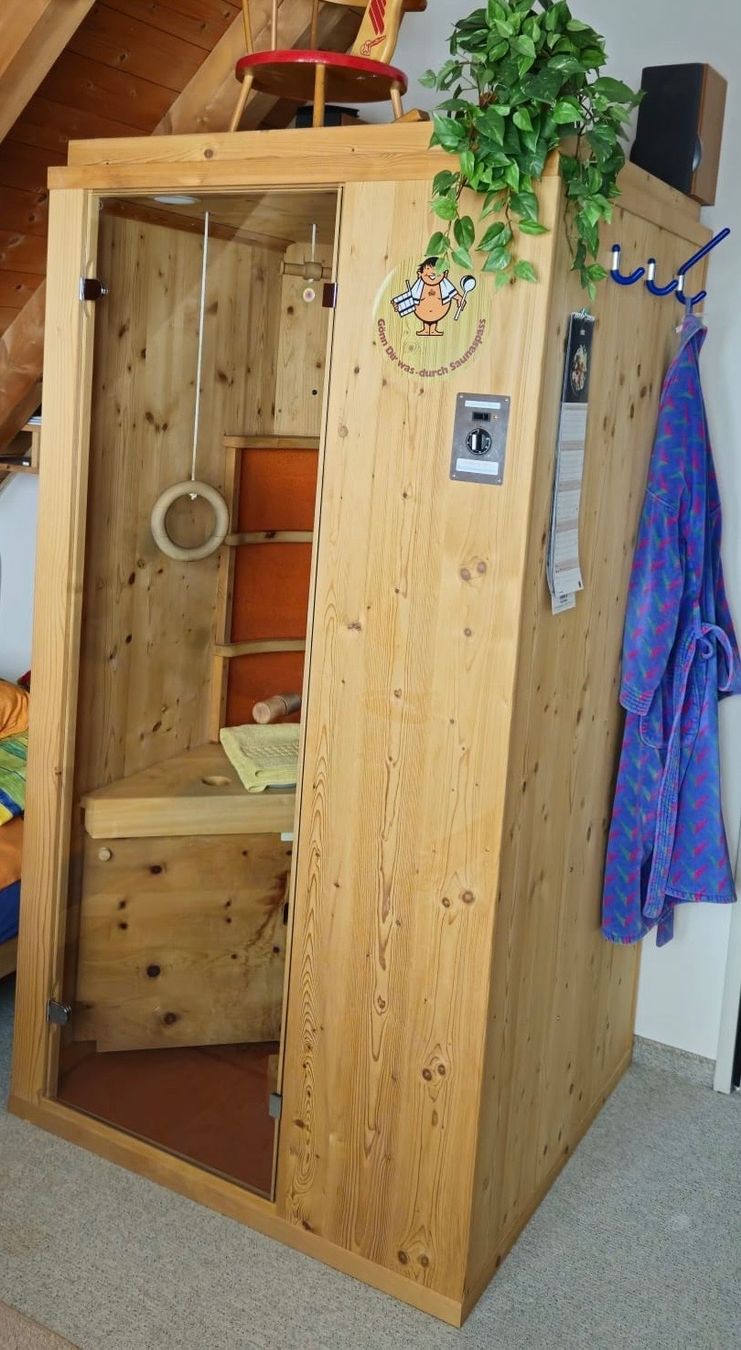 Sauna & Zubehör: Multiwellnesskabine / Sauna – Gebraucht aus Hüntwangen von geo_7lg8