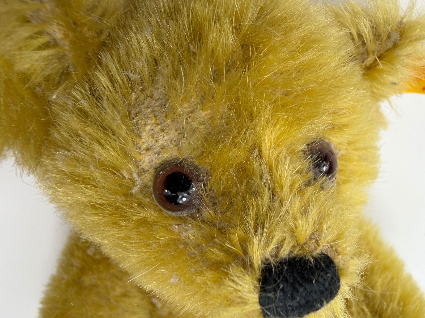 Steiff Spielzeuge: STEIFF Teddybär Petsy (#029424) Höhe 17 cm ca. 1990 – Gebraucht aus Zürich von Arche_Brockenhaus 7