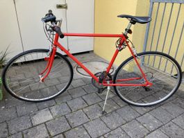 Stylisches Rennvelo