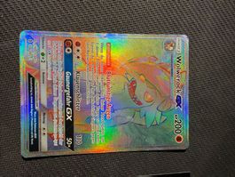 Wolwerock GX Rainbow 2018