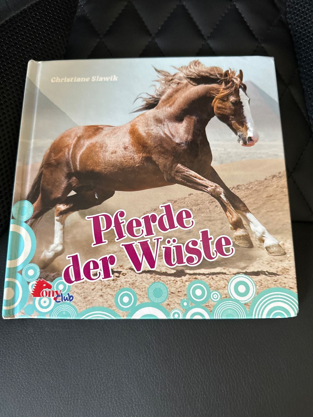 Bücher: Bücher/DVD Set Für Pferdefans – Gebraucht aus Krauchthal von Kiddy32 5