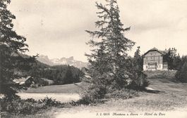 Montana Sierre hotel Parc