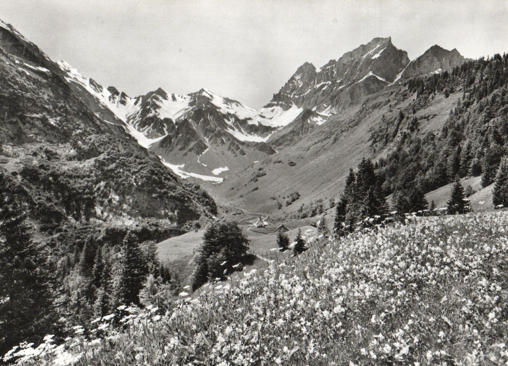 Cartoline postali: Brustigebiet - Waldnacht mit Surenenpass – Usato da Melano venduto da pisonsdro