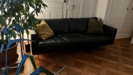 3er Sofa Möbel Pfister Texada Schwarz Leder