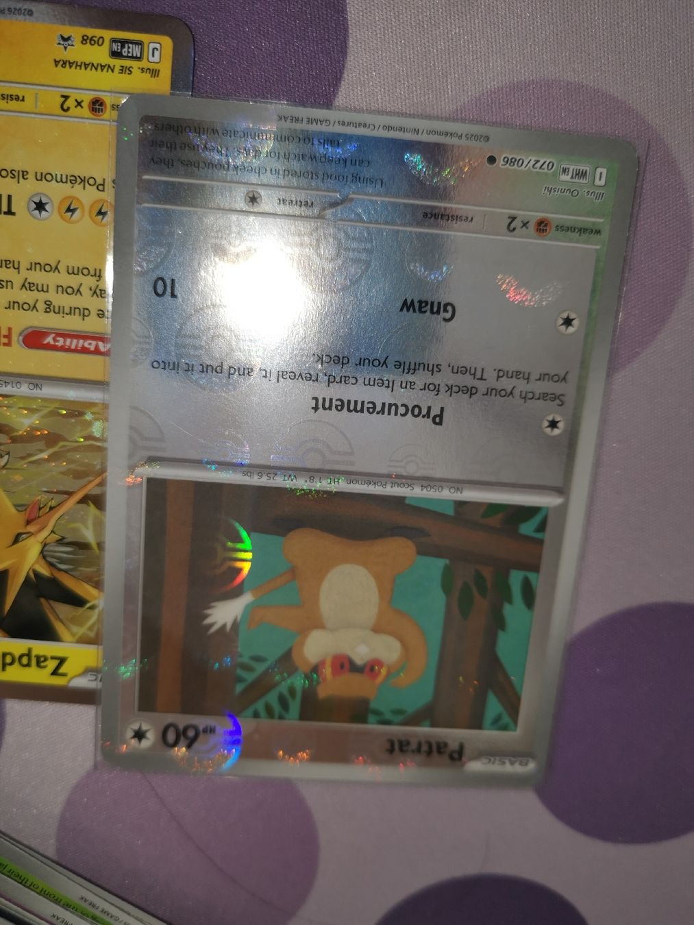 Pokémon Carte collezionabili: Pokemonkarten Sammlung ab 1.-  – Usato da Wohlen AG venduto da PokeLuz1998 2