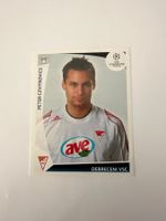 Panini UEFA Champions League 2009-2010 - Nr. 335