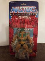 Masters of the universe motu he man komplett 