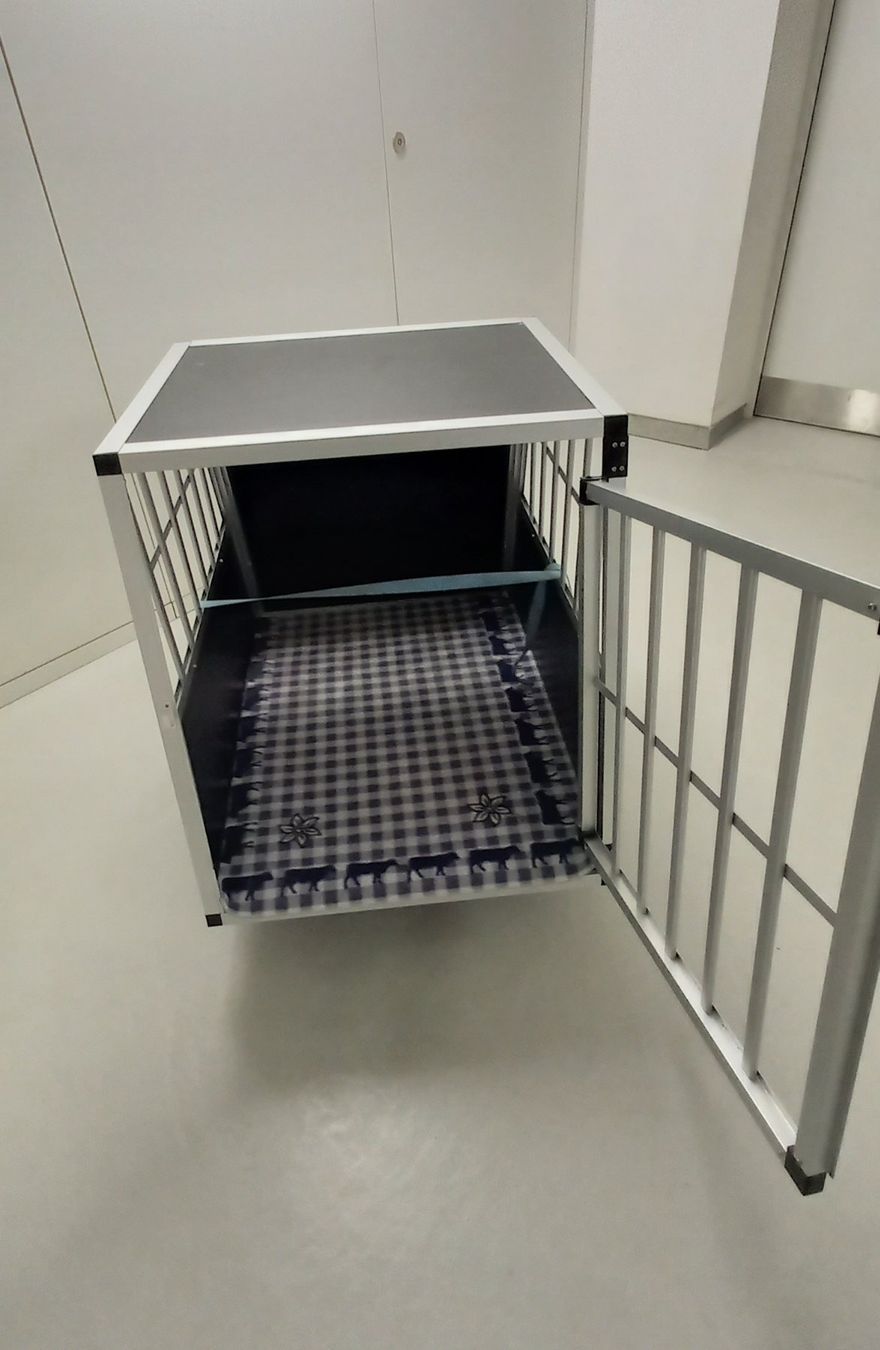 Käfige, Transport & Sicherheit: Hundebox – Gebraucht aus Wängi von Santa4 2