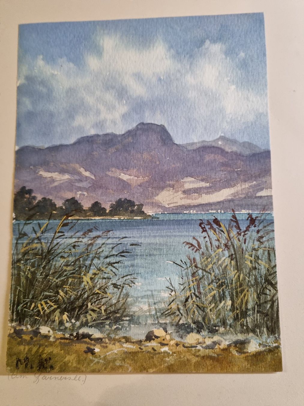 Dipinti: Aquarell  M.K Sarnersee TOP – Usato da Trachslau venduto da post35 1