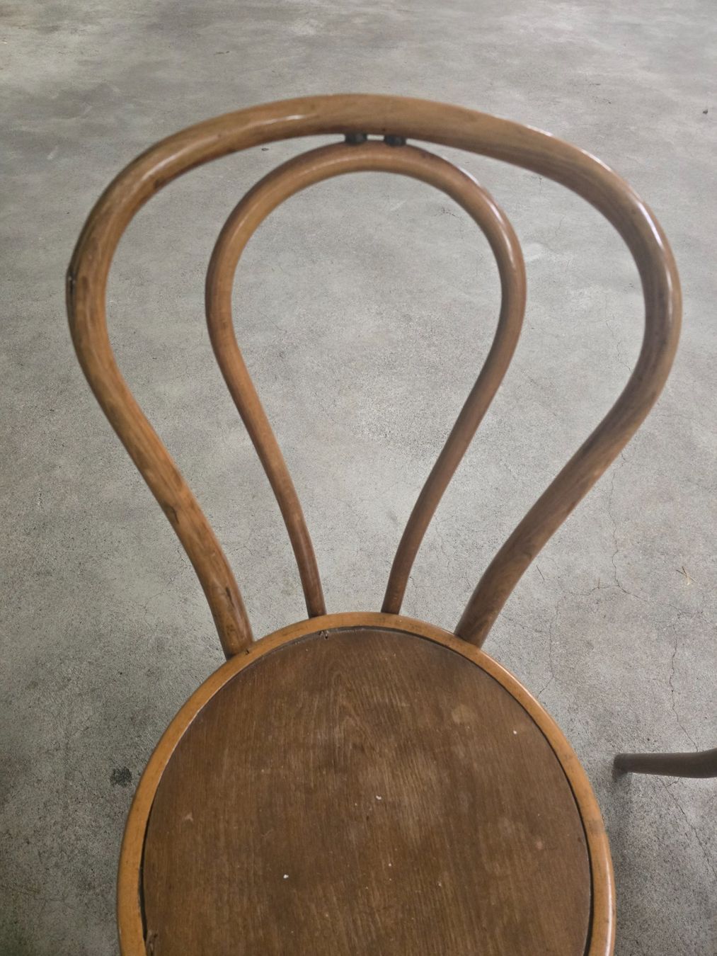 Thonet Stühle: Bugholzstühle im Stile von Thonet - 2er Set – Gebraucht aus Neerach von Pappilon 1