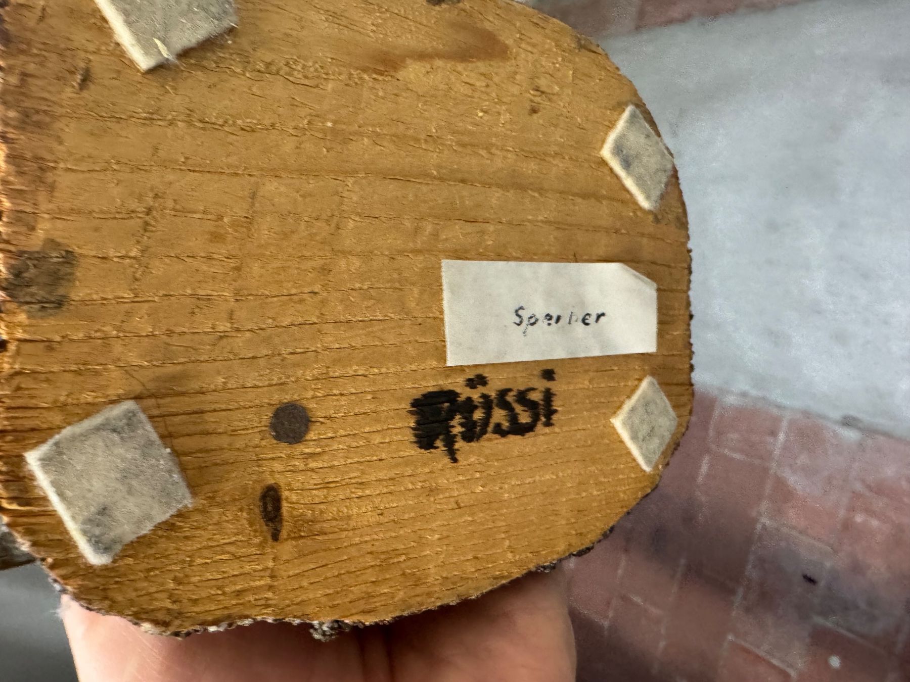 Welt der Tiere: Präparat Sperber / Accipiter nisus – Gebraucht aus zürich von goldklumpen 6