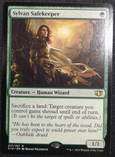 Magic The Gathering Carte collezionabili: MTG - Sylvan Safekeeper - EN – Usato da Bolligen venduto da Gurkenfeld