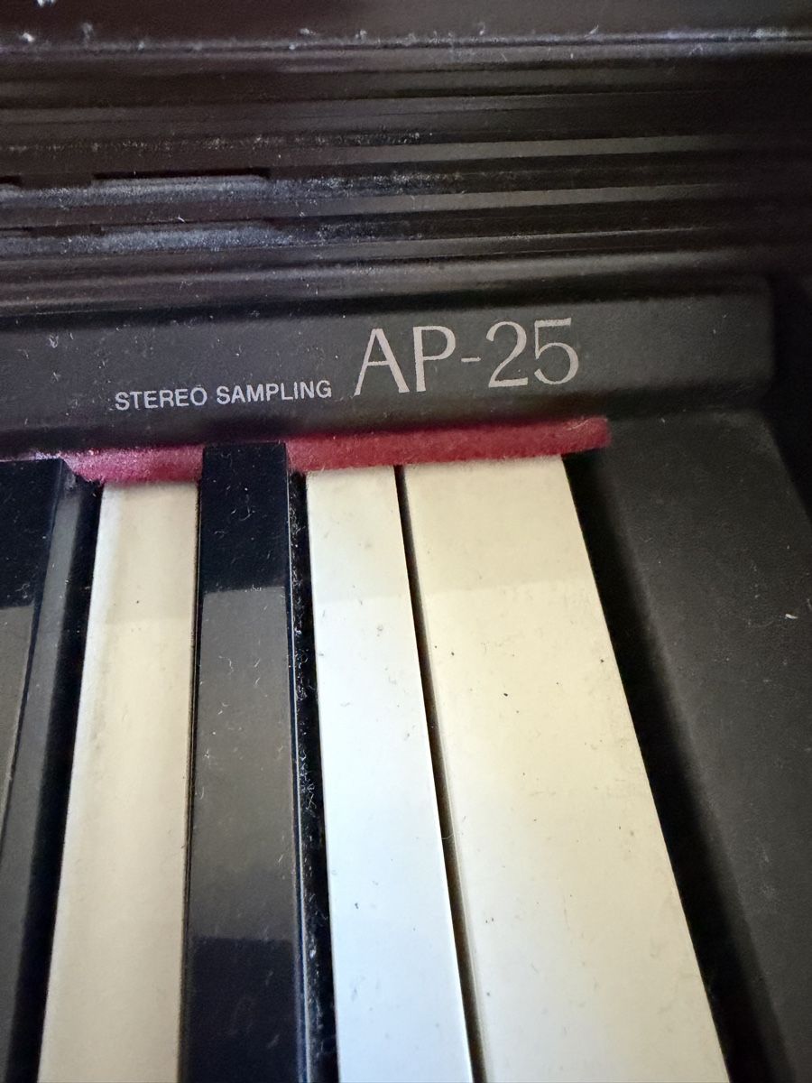 Casio Instruments de musique: Casio Celviano AP-25 – D'occasion à Bern par Grace2112 3