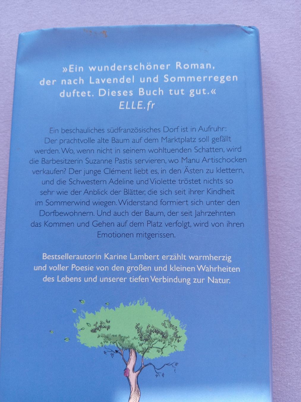 Libri: Buch: Eines Tages in der Provence – Usato da Witterswil venduto da hele04 1