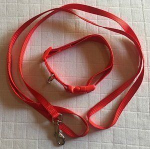 Guinzagli & Collari: Hundehalsband mit Leine – Nuovo e nell'imballaggio originale da Matt venduto da Westigruppe