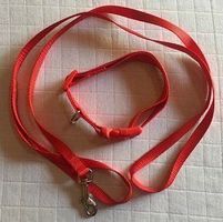 Hundehalsband mit Leine