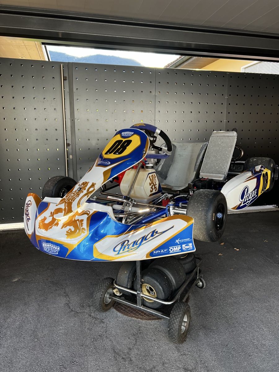 Karts: Go kart iame x30 – Gebraucht aus Losone von cop_j98q