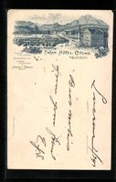 Lithographie Lucerne, Swan-Hotel-Cygne