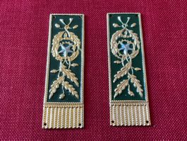 Forstkorps des italienischen Staates