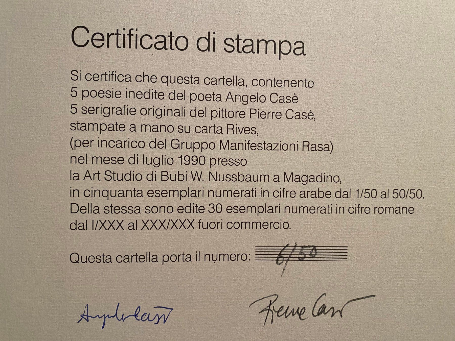 Pokémon Carte collezionabili: Pierre Casè - Cartella d'Artista – Usato da Preonzo venduto da Yderf50 8