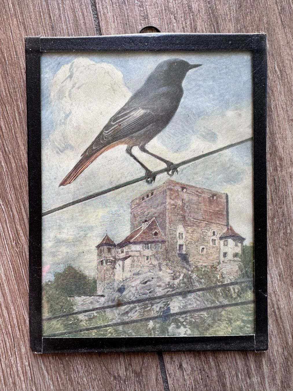 Dipinti: Lot de 4 tableaux avec oiseaux – Usato da Châtillon FR venduto da Karine1453 1