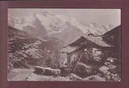 SENNHÜTTE - Jungfrau - 1912