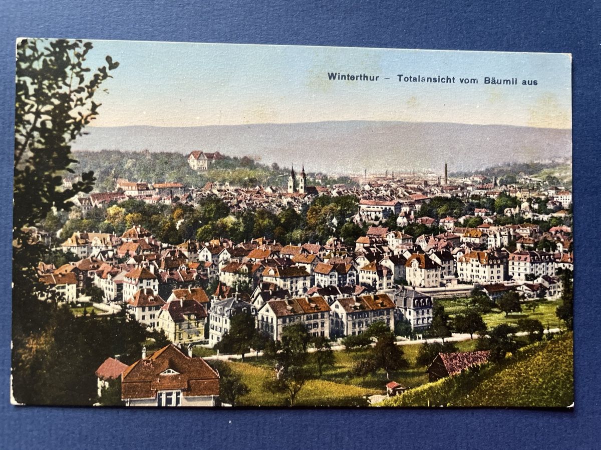 Cartoline postali: Winterthur - Totalansicht vom Bäumli, alte Ansichtskarte – Usato da Neuhausen am Rheinfall venduto da Arielle55