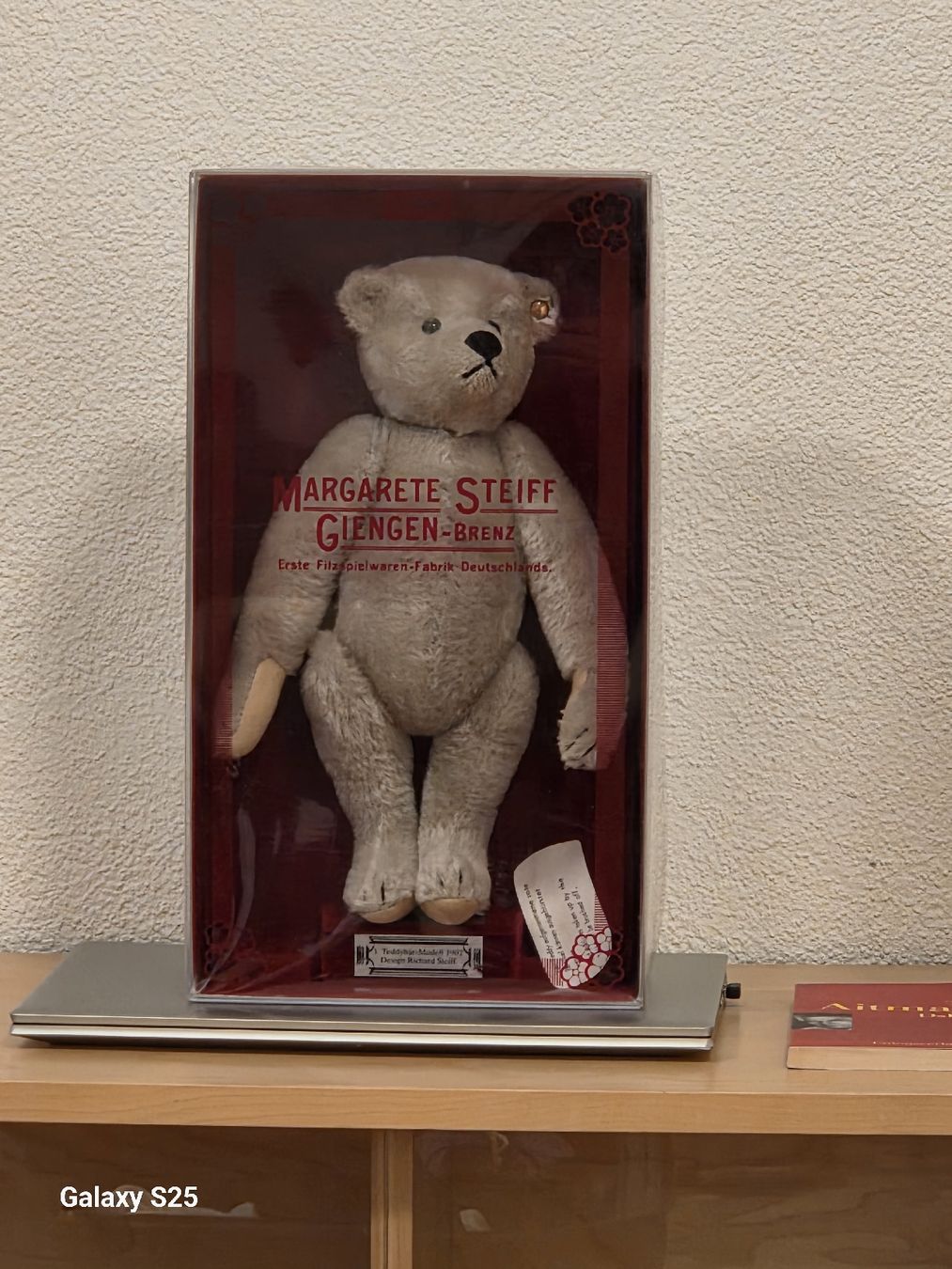 Steiff Bambole: Steiff Teddybär Modell 1903, TOP Zustand, – Usato da Oberägeri venduto da Calimero048