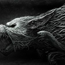 Profile image of nana.corona