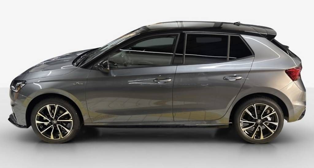 Skoda Cerchioni: Skoda Fabia 4 Felgen – Usato da Volketswil venduto da Leoo. 2