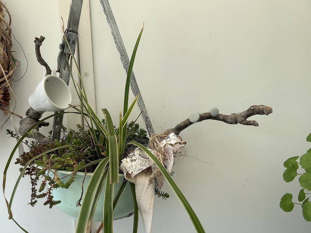 Vasi per fiori: Blumenampel  – Usato da Frauenfeld venduto da Irene.Schuppli 1