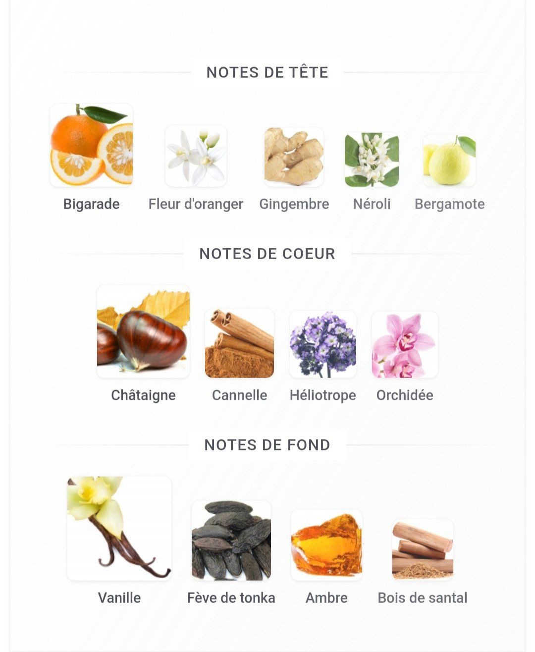 Profumi & Eau de Toilette: Parfum Majaina Sin - The Different Company – Usato da Lausanne venduto da Super-cerise 3