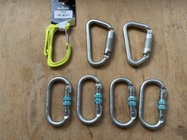 Karabiner klettern psaga 