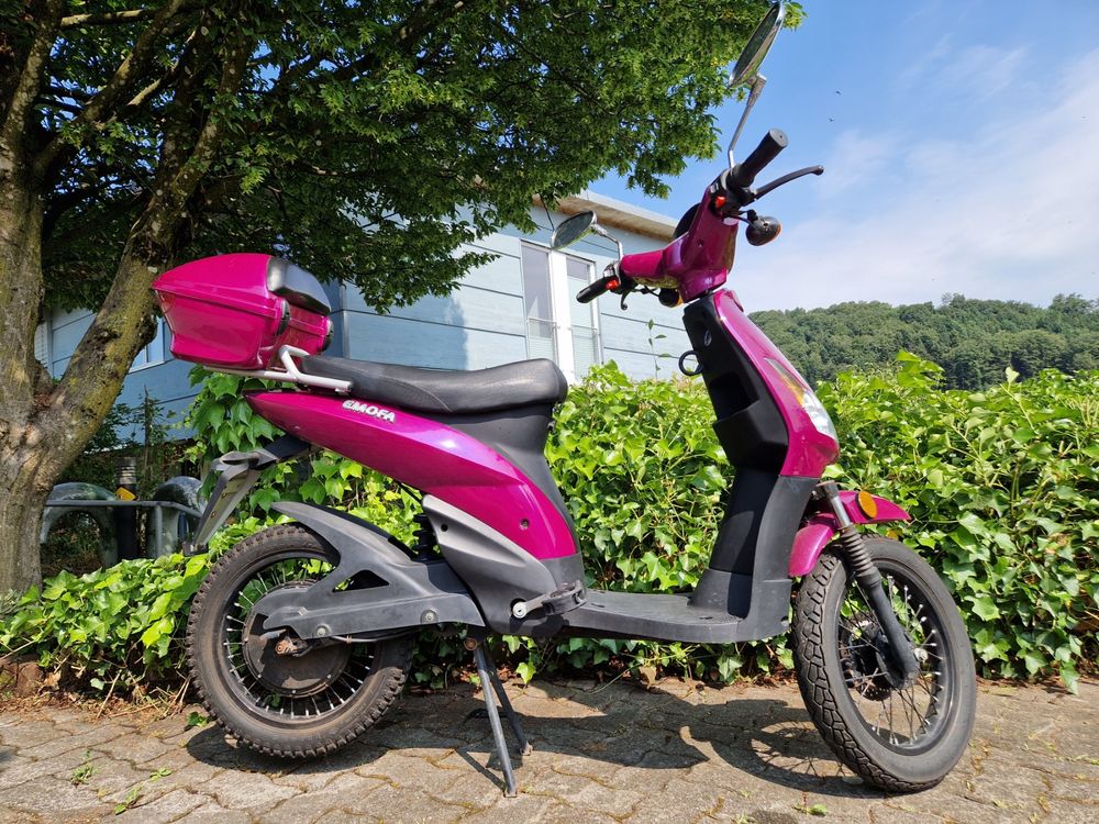 Haoling Yuyan Mini 30 E-Roller E-Mofa (Gebraucht) in Luzern für CHF 200 ...