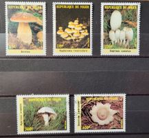 PILZE / CHAMPIGNONS – REPUBLIQUE DU NIGER