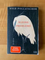 Buch: Kleine Probleme - Nele Pollatschek