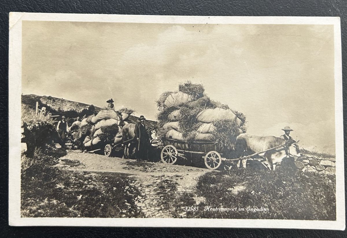 Cartoline postali: Fotokarte Heutransport im Engadin  – Usato da Horw venduto da Tellbub