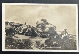 Fotokarte Heutransport im Engadin 