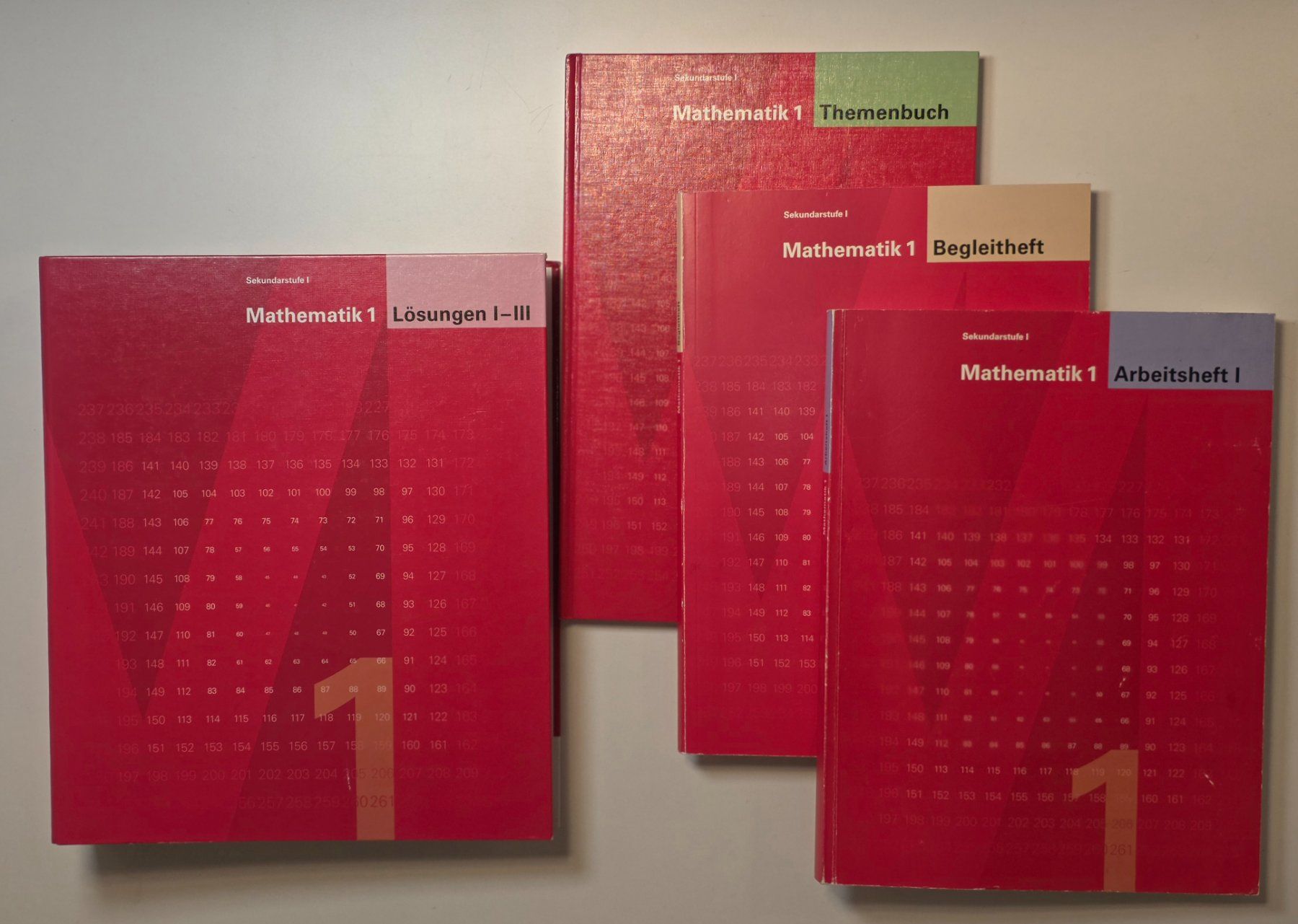 Libri: LMVZ MATHEMATIK 1 Lösungen Arbeitsheft Begleitheft Themenbuc – Nuovo (secondo la descrizione) da Dürnten venduto da Bachtelrider_