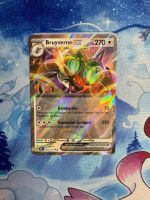 Bruyverne EX - PRE 091 FR