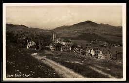 AK Wald /App., Ortsansicht mit Kirche und Umgebung