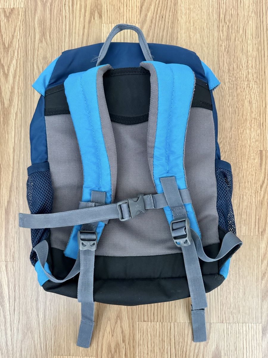 Deuter Borse & Zaini: Deuter Waldfuchs Rucksack – Usato da Dierikon venduto da FraeuleinMaus17 1