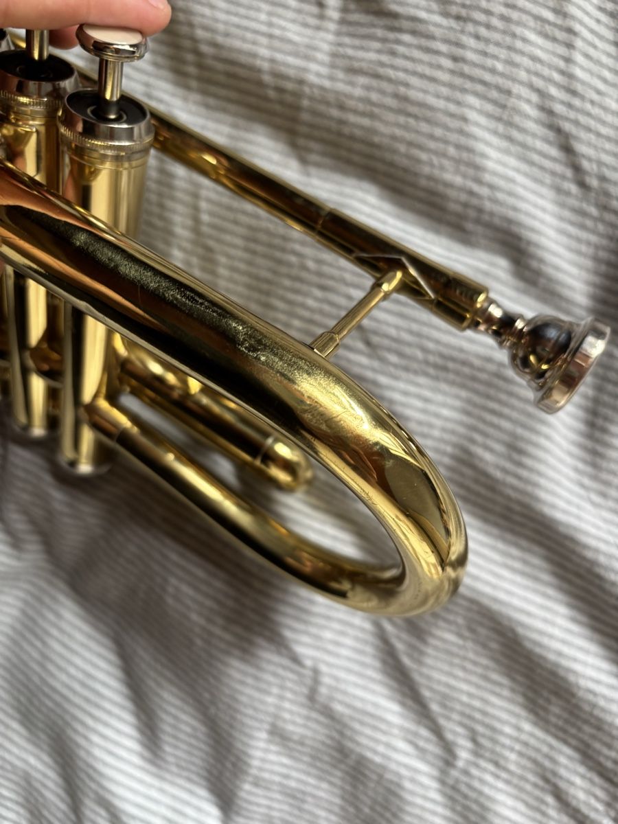 Musikinstrumente: Weril Cornet EC107t – Gebraucht aus Kilchberg BL von wirz_lorena 7
