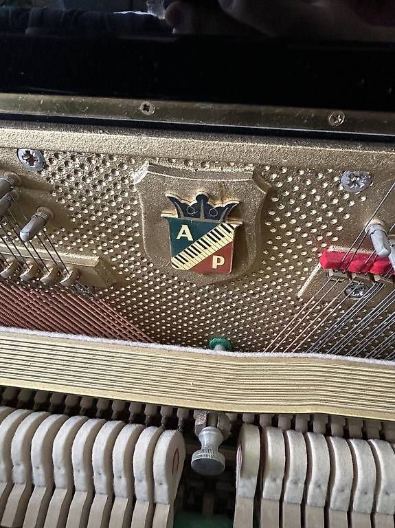 Strumenti musicali: Petrof Klavir – Usato da Orpund venduto da Gr4 4