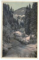WALDLANDSCHAFT IM WINTER gel. 1933 v. Interlaken