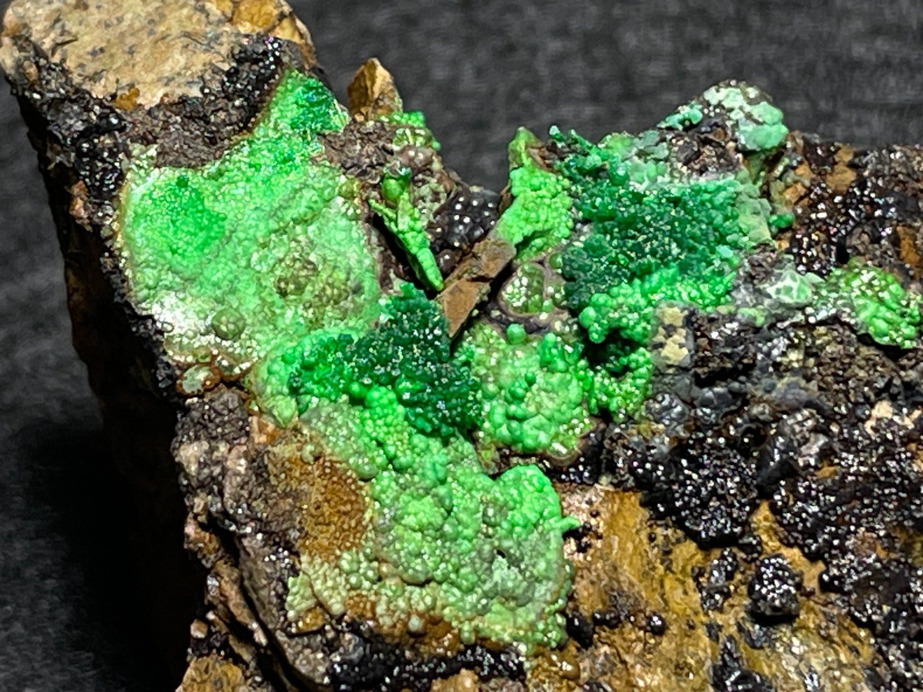 Minéraux & Lithothérapie: Conicalcite - superbe – Neuf (Voir description) à Cernier par Tashi_Delek 5