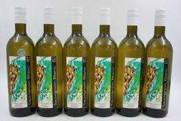 6x Cina Gilles & Joel Sauvignon Blanc (26100562Z)