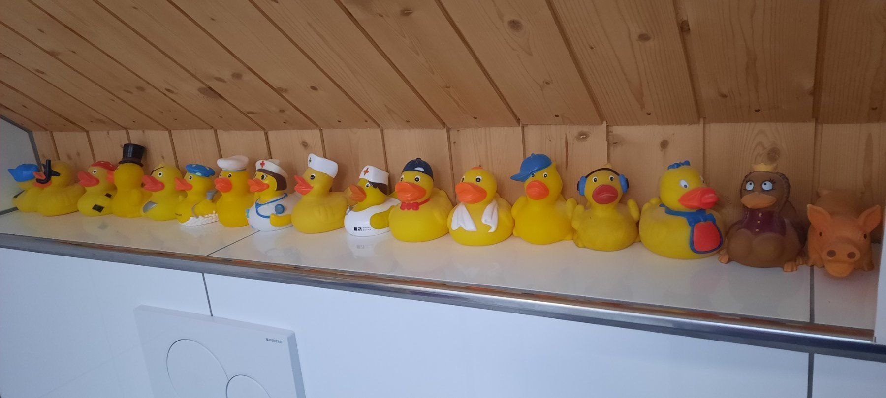 Giocattoli: Quietsche Entensammlung – Usato da Oberegg venduto da danni-1985 1